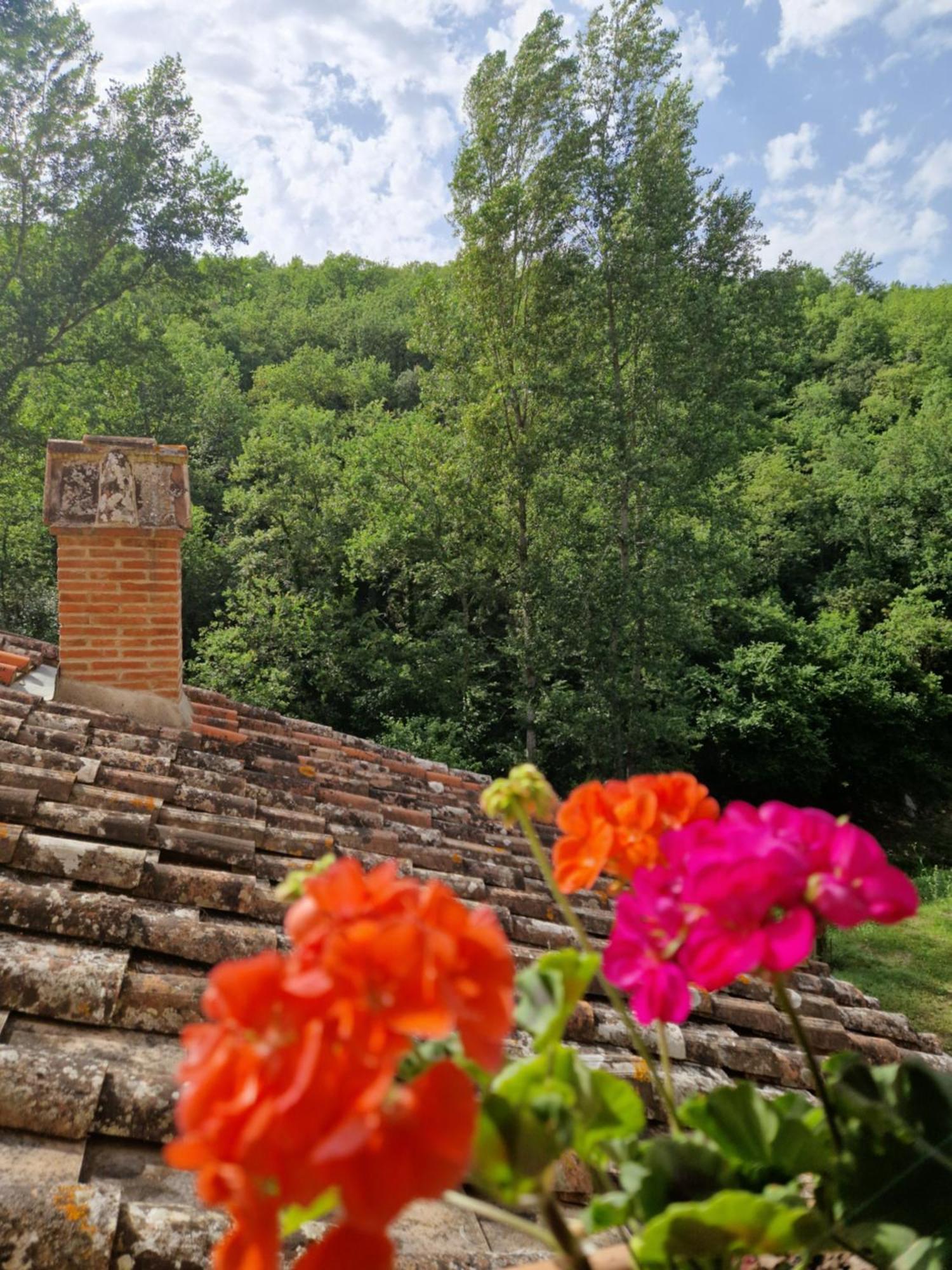 Molino Di Cogno Apartment Castellina in Chianti Exterior photo